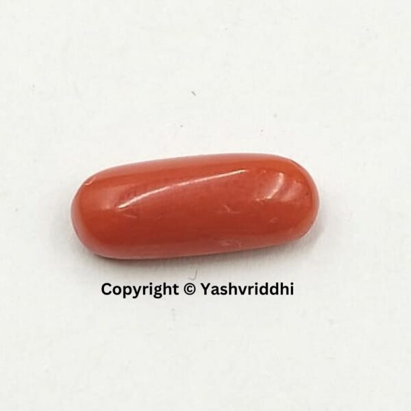 Natural Red Coral 3.8 Carat (RCOR-15)