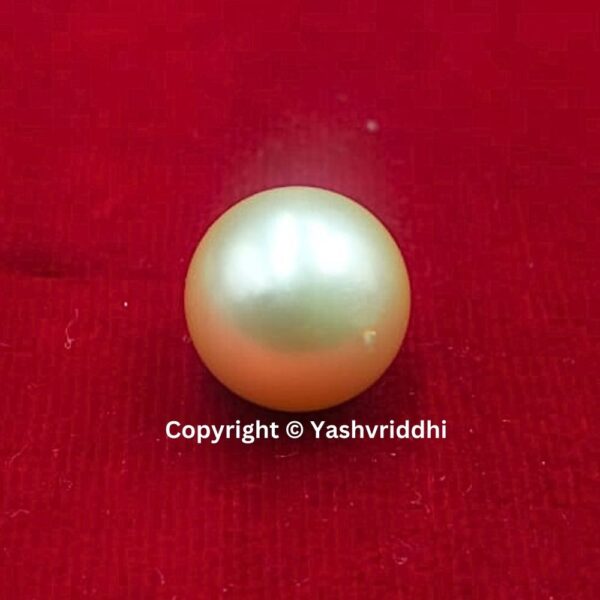 South Sea Natural Pearl 14.4 Carat (PEA-5)