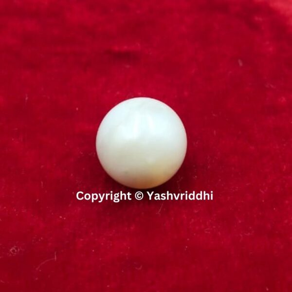 South Sea Natural Pearl 12.20 Carat (PEA-24)