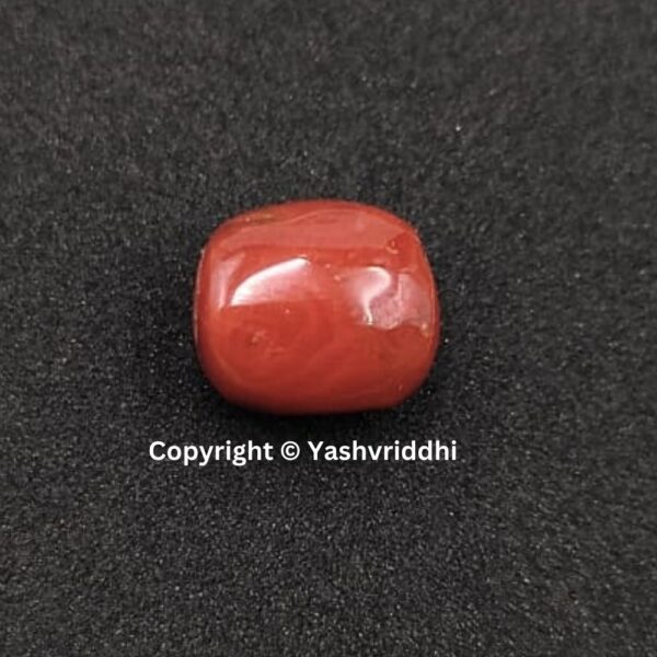 Natural Certified Red Coral 8.70 Carat (RCOR-4)