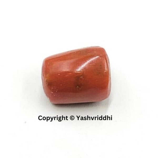 Natural Certified Red Coral 8.42 Carat (RCOR-6)