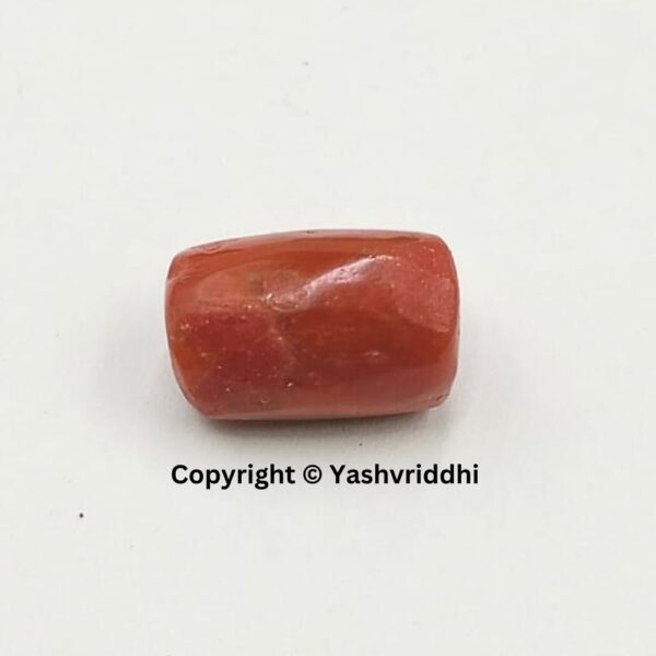 Natural Certified Red Coral 8.27 Carat (RCOR-8)