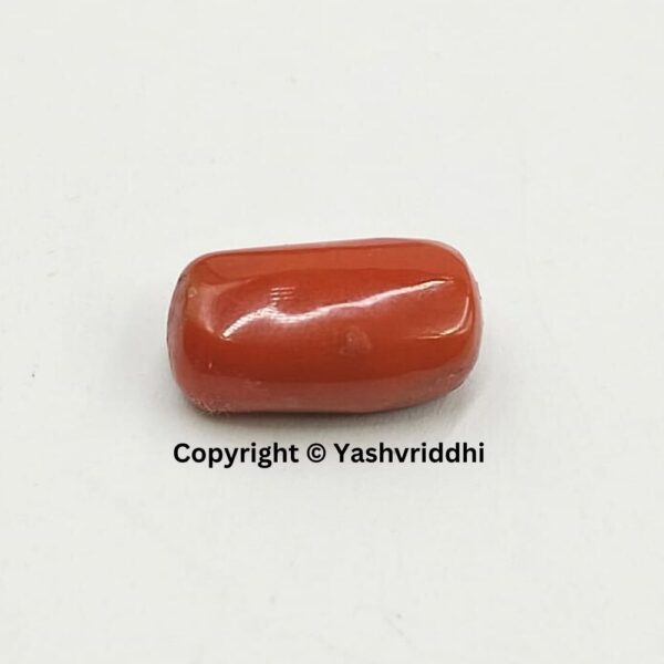 Natural Certified Red Coral 8.20 Carat (RCOR-9)