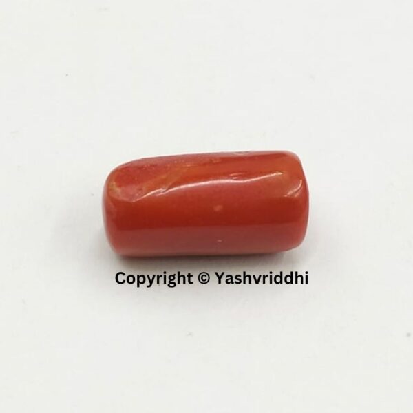 Natural Certified Red Coral 8 Carat (RCOR-10)