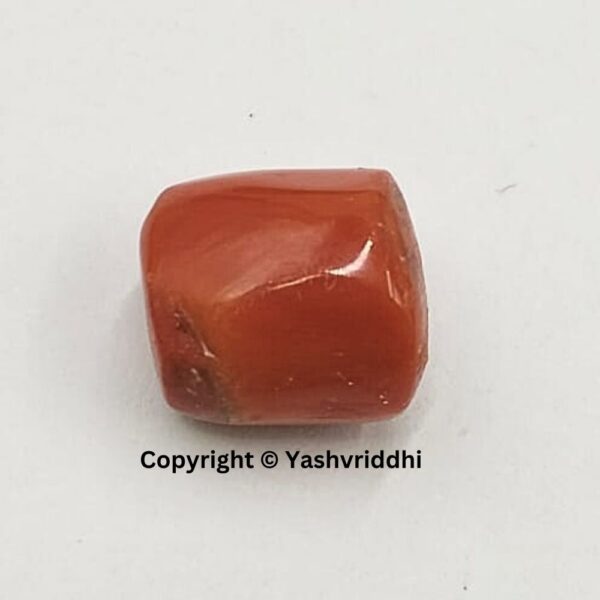 Natural Certified Red Coral 7.66 Carat (RCOR-11)