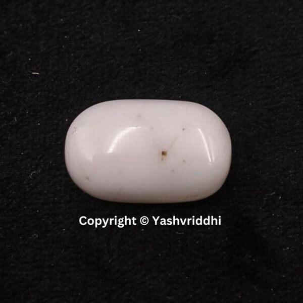 Natural Certified White Coral 12.48 Carat (WCOR-1)