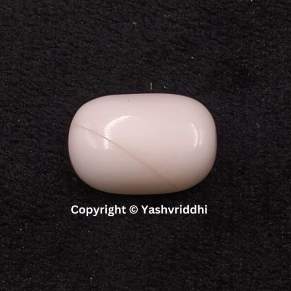 Natural Certified White Coral 11.77 Carat (WCOR-2)