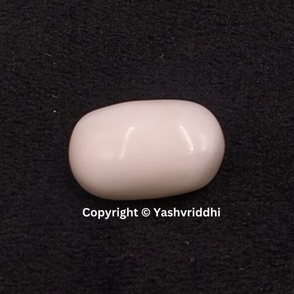 Natural Certified White Coral 10.83 Carat (WCOR-3)