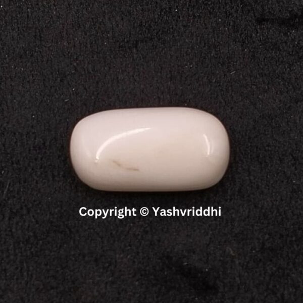 Natural Certified White Coral 9.90 Carat (WCOR-4)