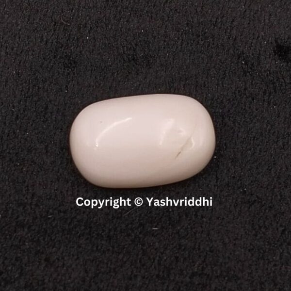 Natural Certified White Coral 8.80 Carat (WCOR-5)