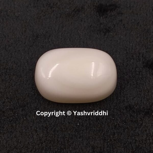 Natural Certified White Coral 10.61 Carat (WCOR-7)