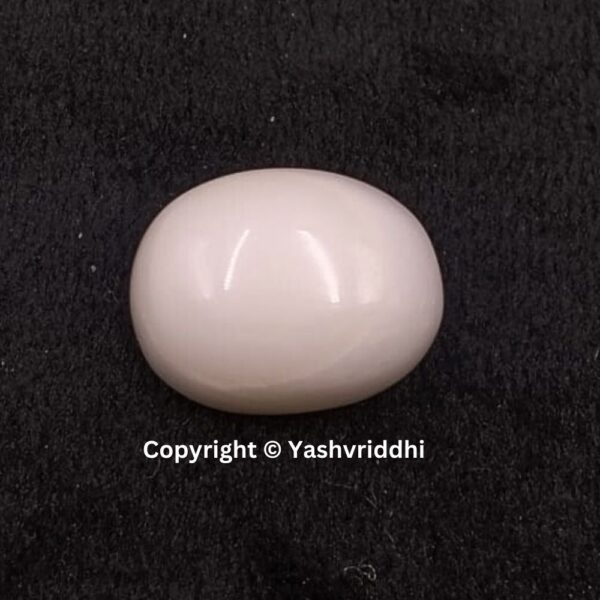 Natural Certified White Coral 10.12 Carat (WCOR-10)