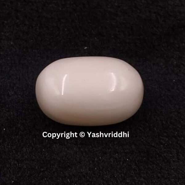 Natural Certified White Coral 11.05 Carat (WCOR-15)