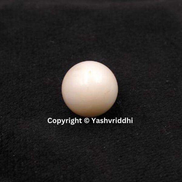 South Sea Natural Pearl 12.20 Carat (PEA-24) - Image 2