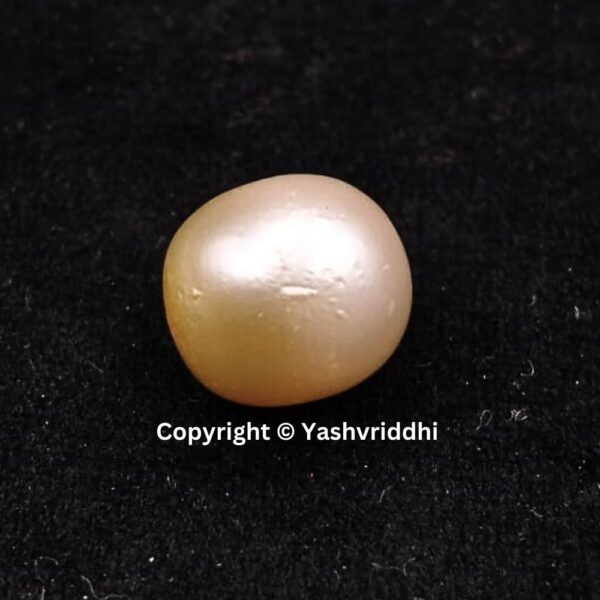 South Sea Natural Pearl 15.75 Carat (PEA-31) - Image 2