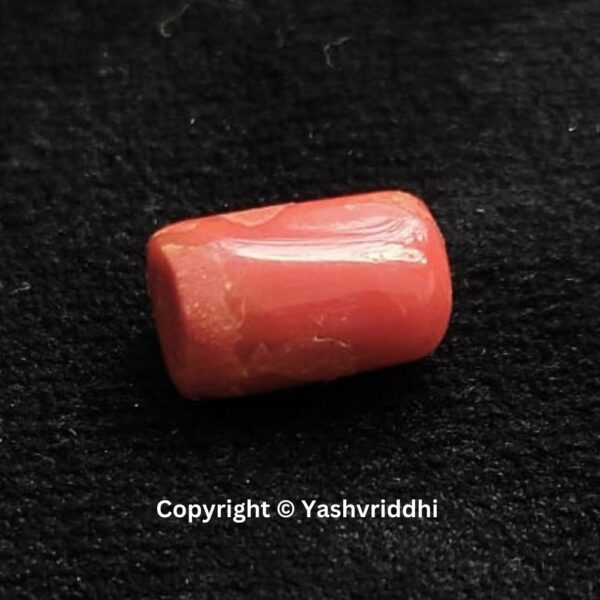 Natural Certified Red Coral 11.26 Carat (RCOR-1)