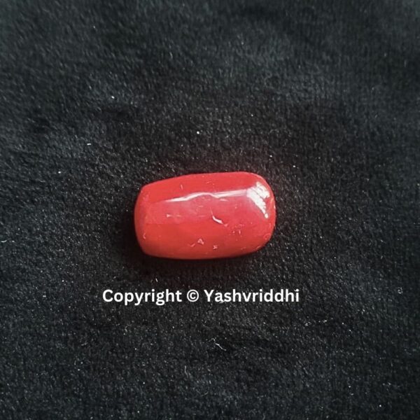 Natural Certified Red Coral 10.54 Carat (RCOR-2)