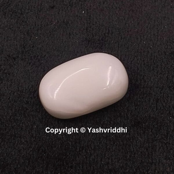 Natural Certified White Coral 10.28 Carat (WCOR-8) - Image 2