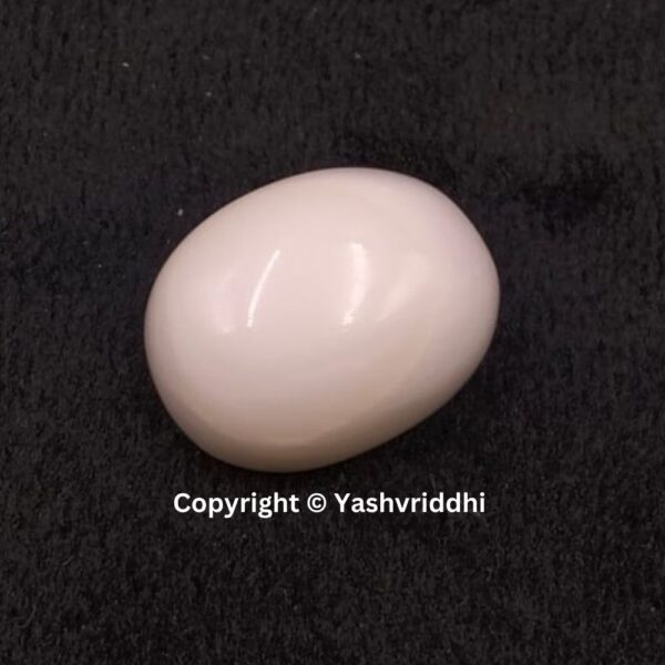 Natural Certified White Coral 10.12 Carat (WCOR-10) - Image 2