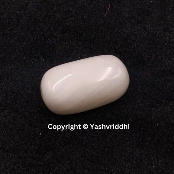 Natural Certified White Coral 12.10 Carat (WCOR-14) - Image 2