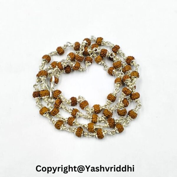 "Premium Rudraksha Silver Mala for Meditation and Blessings"